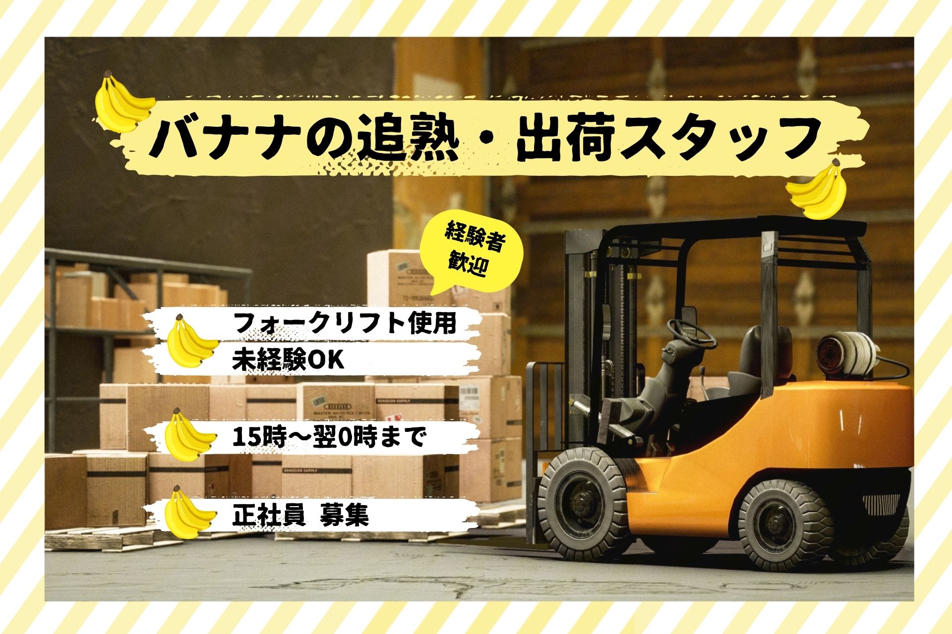 バナナ⼯場での追熟‧出荷作業スタッフ