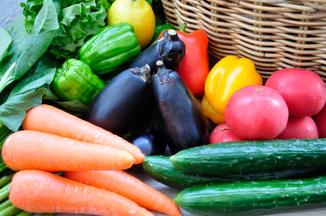 高齢者施設での調理サポートスタッフ